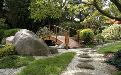 Transform Your Outdoors with Expert Landscaping Contractor Services in Fresno, CA