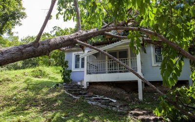 Types of Storm Damage Repair in Wheaton, IL